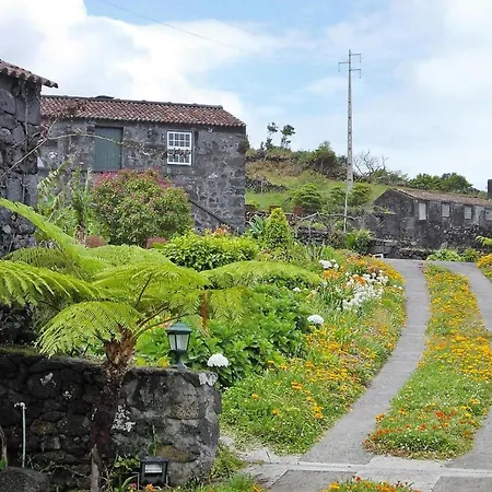 Casa vacanze Homes Adegas Do Pico In Pra Nha De Baixo Pico Azores *