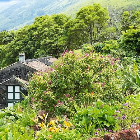 Homes Adegas Do Pico In Pra Nha De Baixo Pico Azores