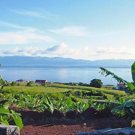 Homes Adegas Do Pico In Pra Nha De Baixo Pico Azores Casa vacanze *