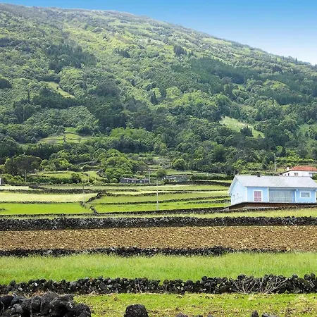 Casa vacanze Homes Adegas Do Pico In Pra Nha De Baixo Pico Azores *